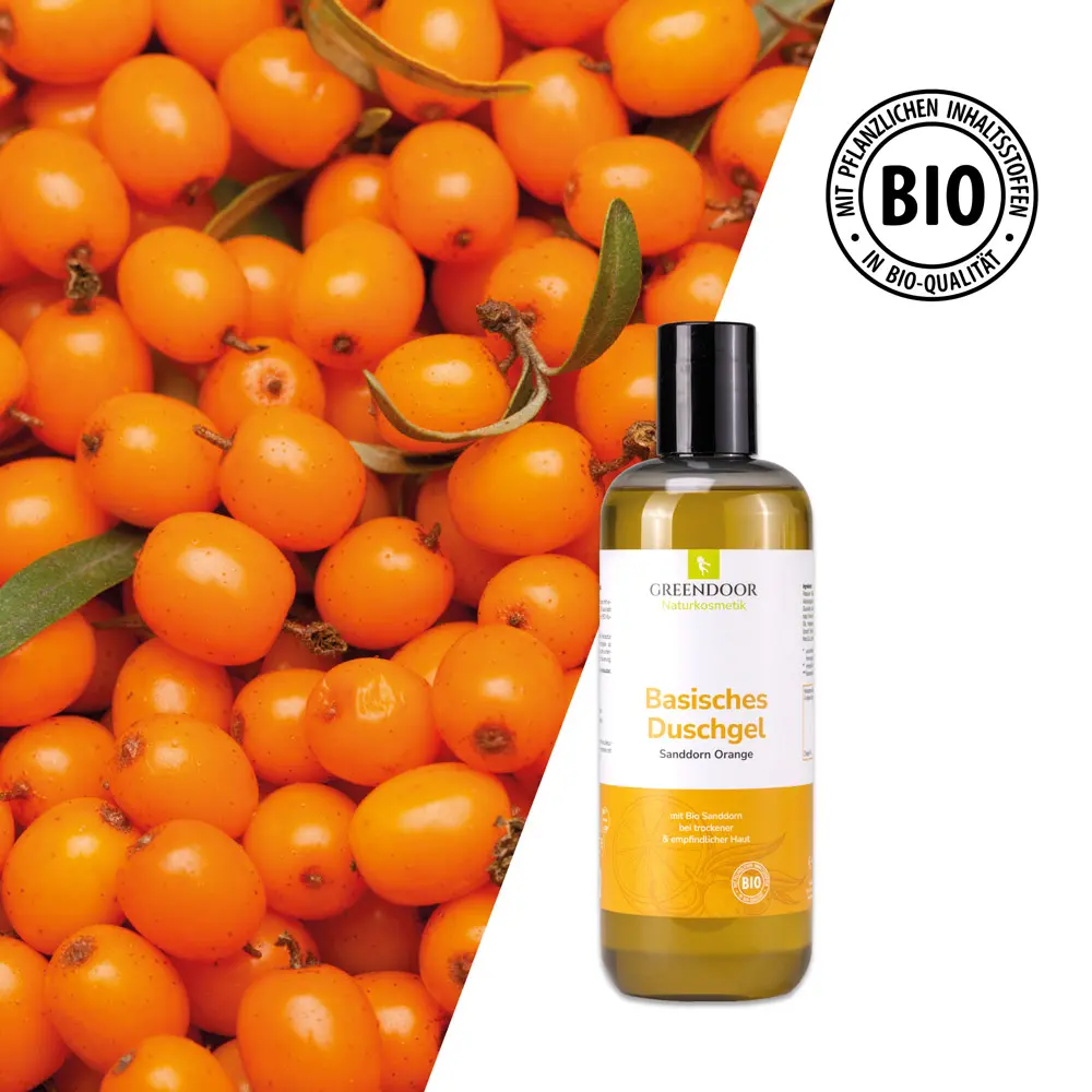 Basisches Duschgel XL Sanddorn Orange