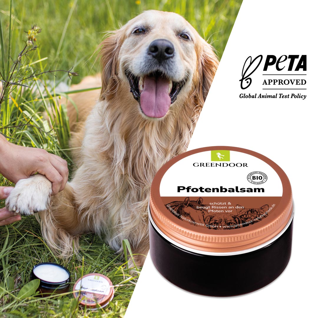 Pfotenbalsam für Tiere Pfotenbalsam für Tiere
