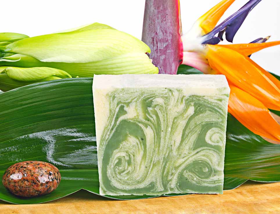 naturseife-aloe-vera-zart-dezent-vegan-ohne-tierversuche-pflegend-feuchtigkeitsspendend-stimmungsbild Naturseife Aloe Vera