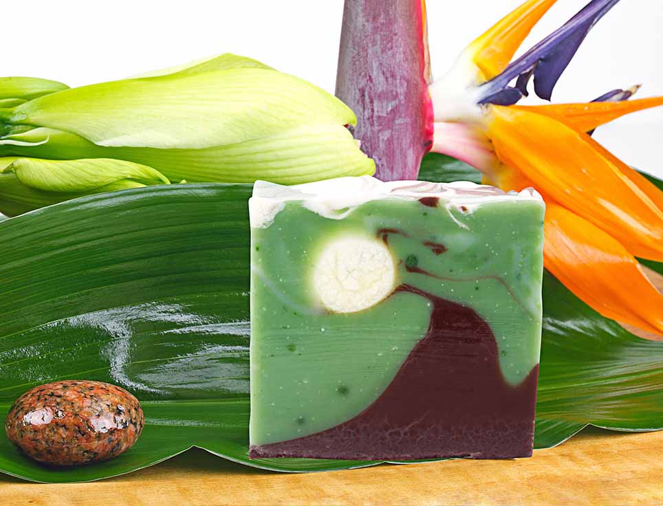 naturseife-waldfee-exotisch-erdig-waldig-w-rzig-vegan-ohne-tierversuche-pflegend-stimmungsbild Naturseife Waldfee