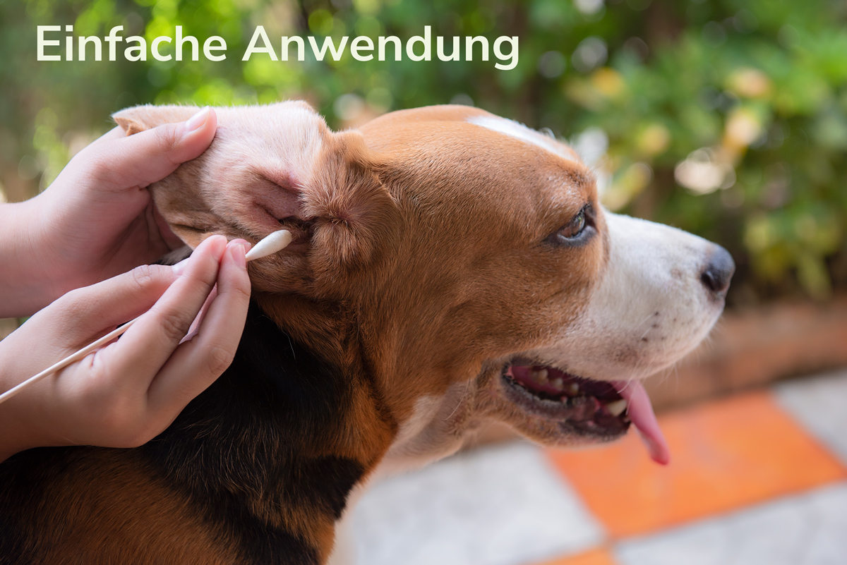 Ohrenpflege für Hunde Ohrenpflege für Hunde
