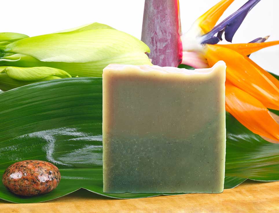 Naturseife Waschnuss