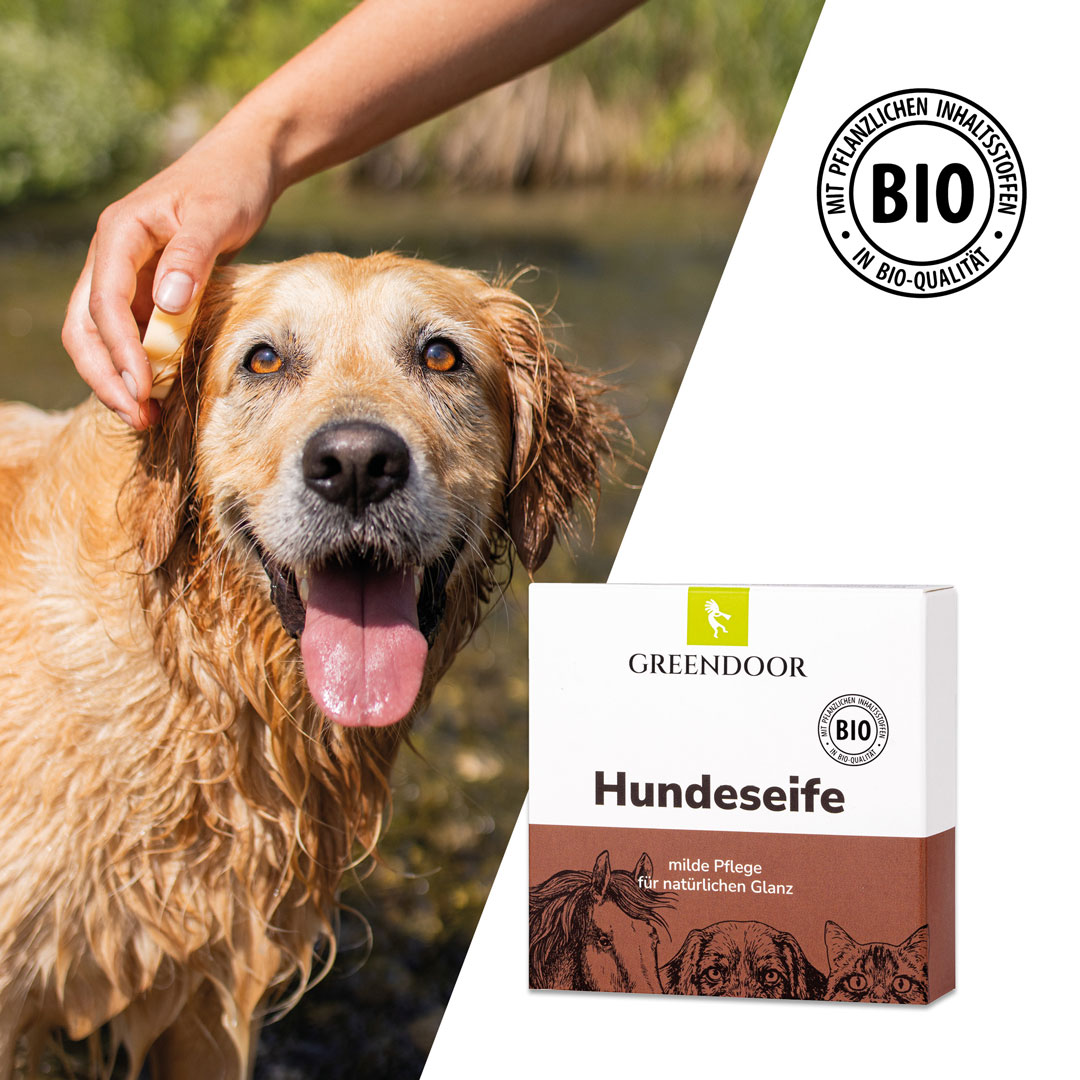 Hundeseife für glänzendes Fell Hundeseife für glänzendes Fell