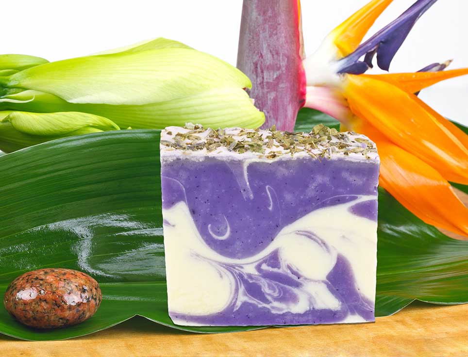 naturseife-eisenkraut-lavendel-zitronig-frisch-vegan-ohne-tierversuche-pflegend-stimmungsbildzGj7mt3kuplzR Naturseife Eisenkraut Lavendel