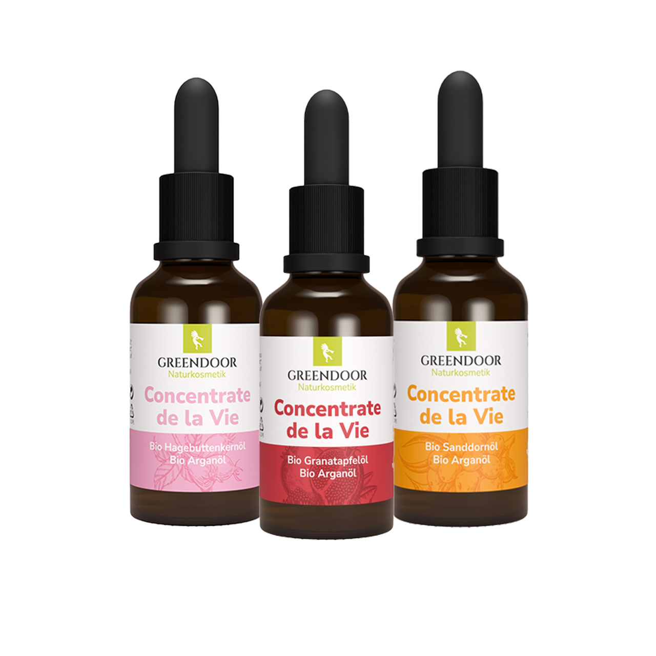 Geschenk Set Concentrate de la Vie