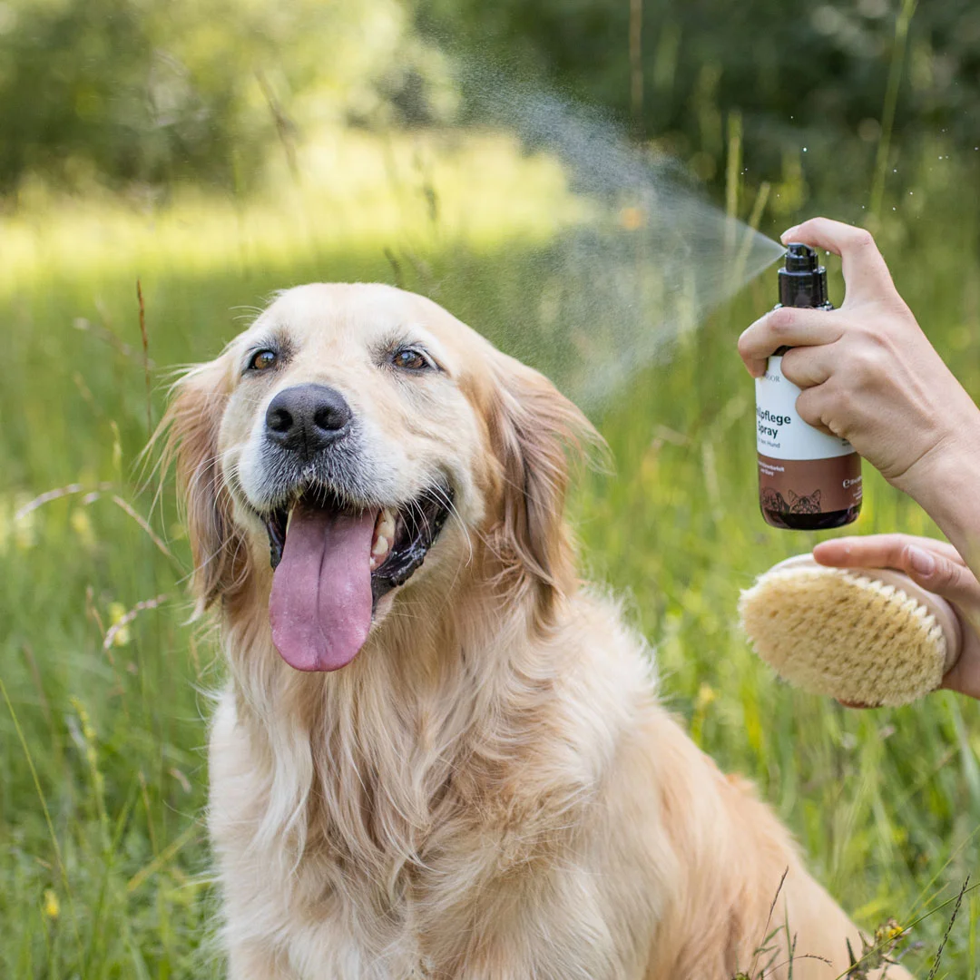 Fellpflegespray für Hunde Fellpflegespray für Hunde