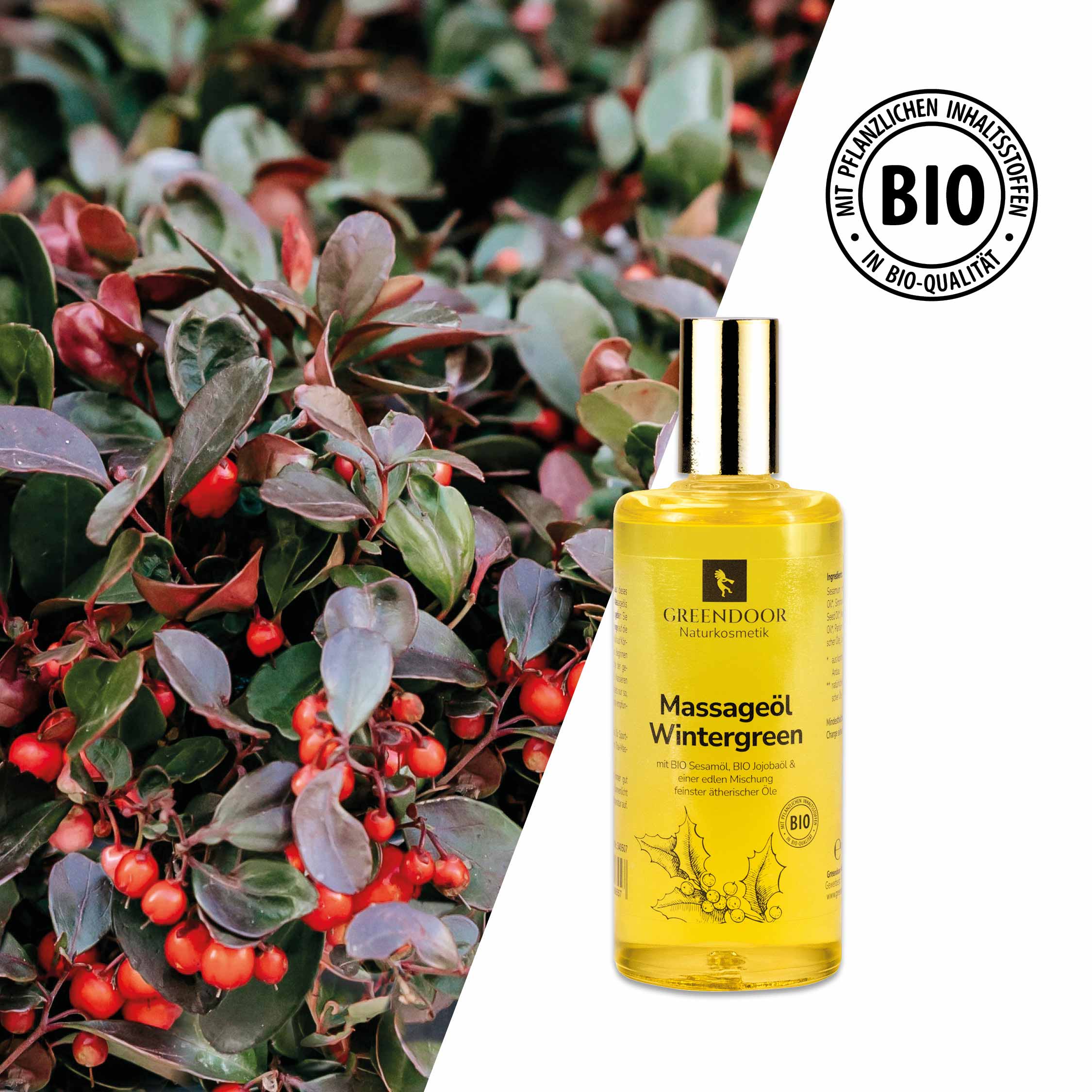 Massageöl Wintergreen Massageöl Wintergreen