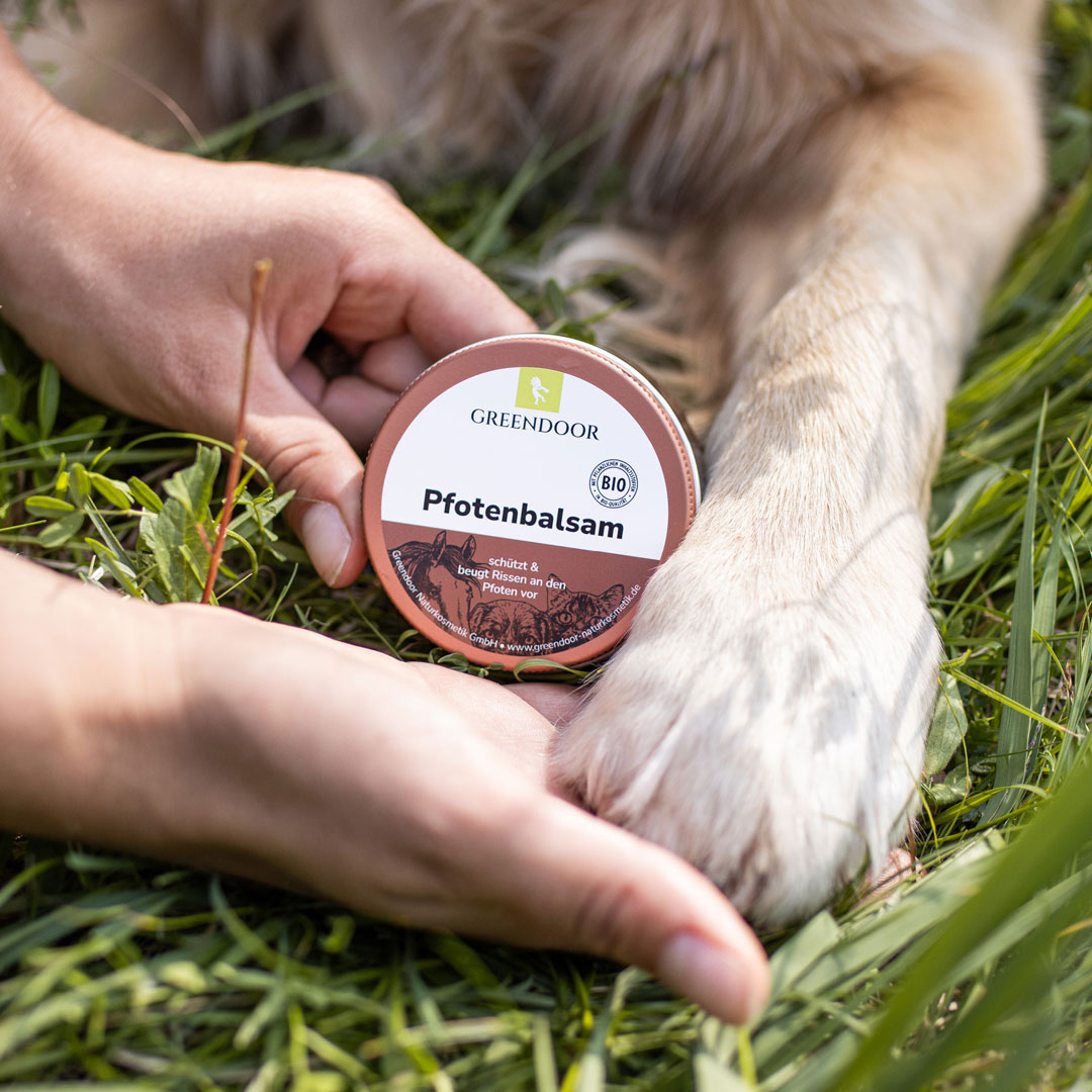 Pfotenbalsam für Tiere Pfotenbalsam für Tiere