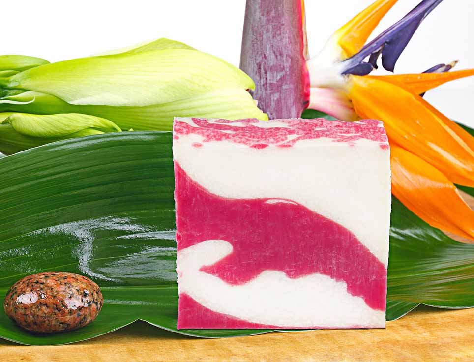 naturseife-himbeerwolke-s-ss-fruchtig-vegan-ohne-tierversuche-pflegend-feuchtigkeitsspendend-stimmungsbild Naturseife Himbeerwolke
