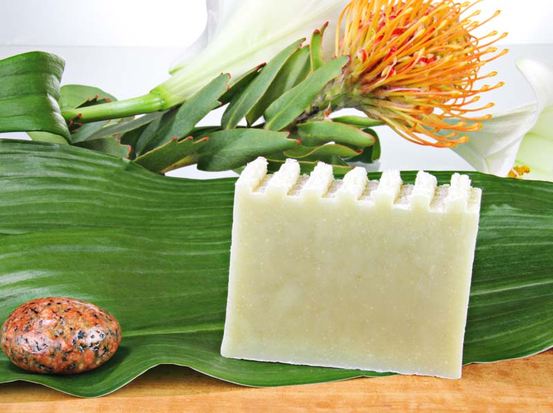 naturseife-olivenhain-nat-rlich-vegan-ohne-tierversuche-pflegend-ohne-allergene-inhaltsstoffe-stimmungsbild Naturseife Olivenhain