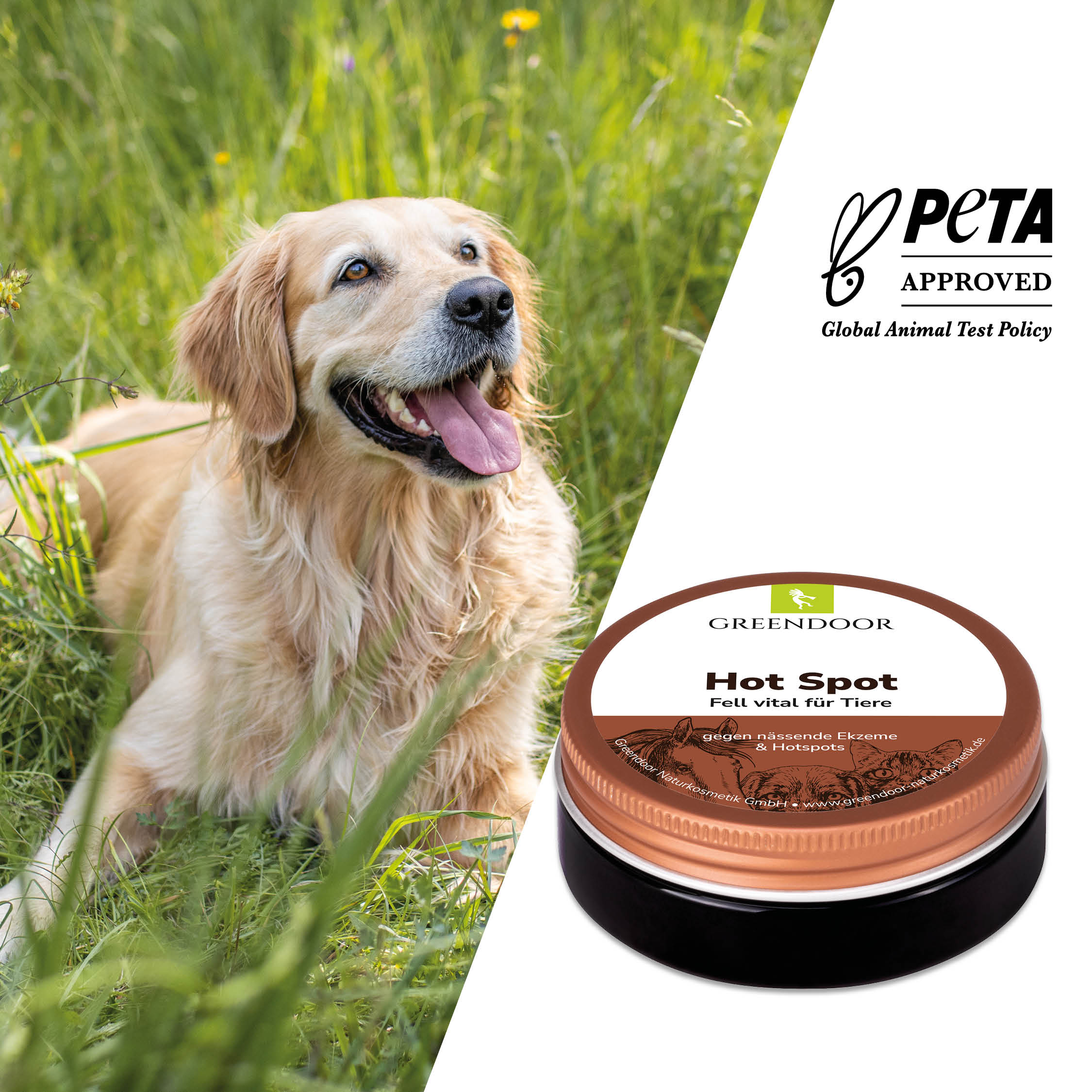Hot Spot Balsam für Hunde Hot Spot Balsam für Hunde